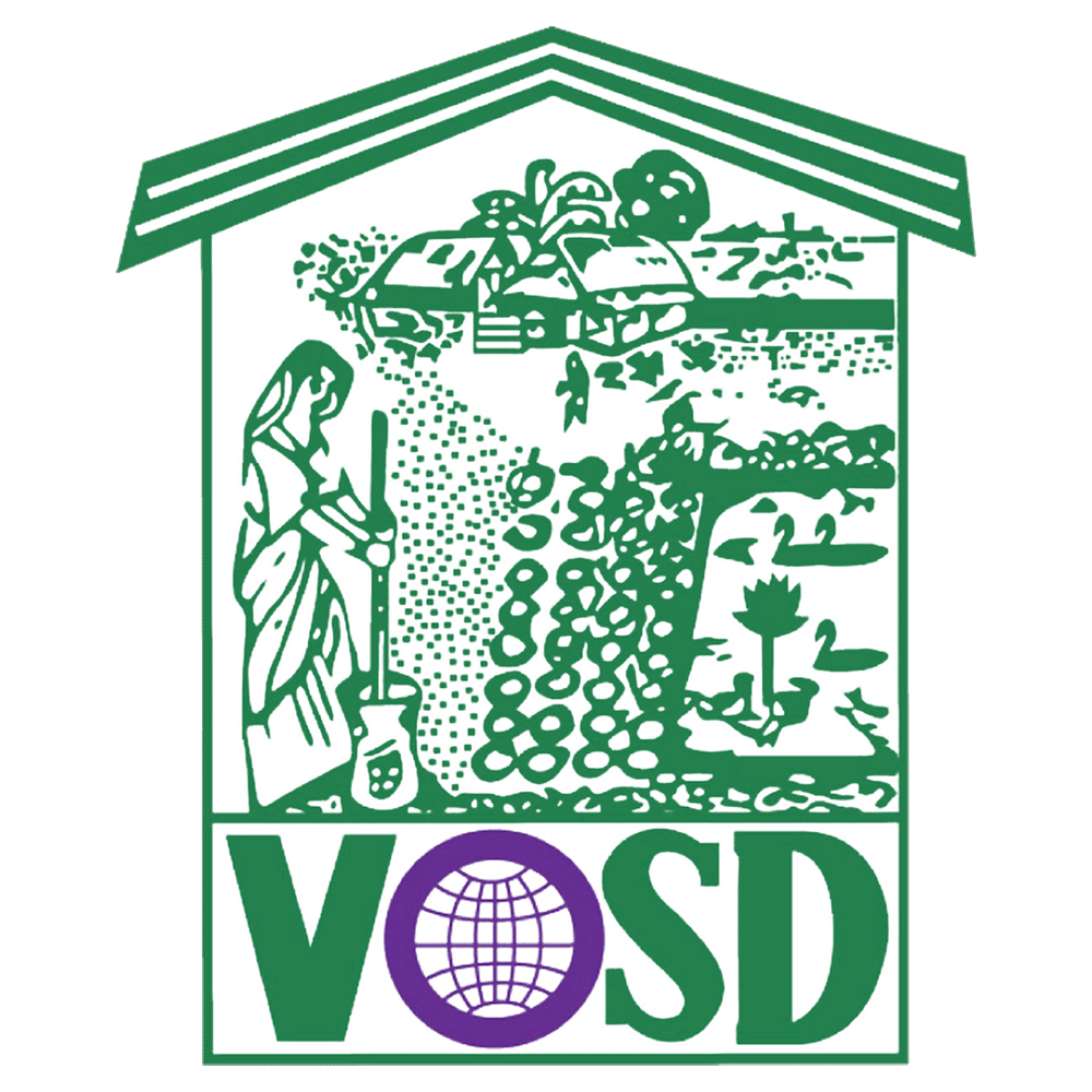 Original VOSD Logo (1987–2025)